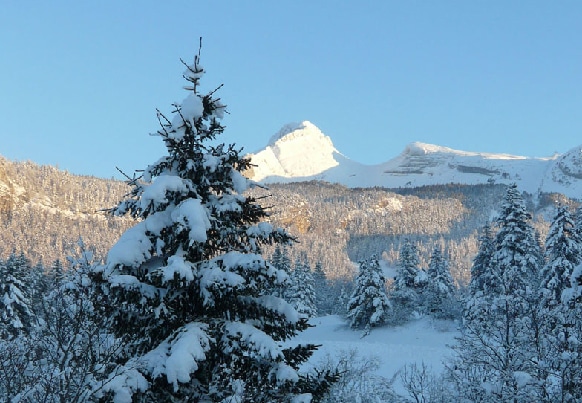 img-accueil-bienvenue